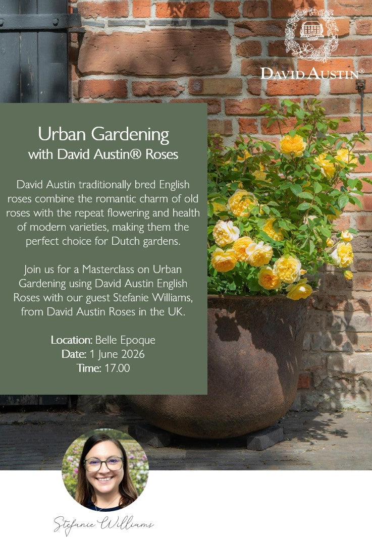 Urban Gardening mit David Austin Rosen | 1. Juni | 17:00 Uhr